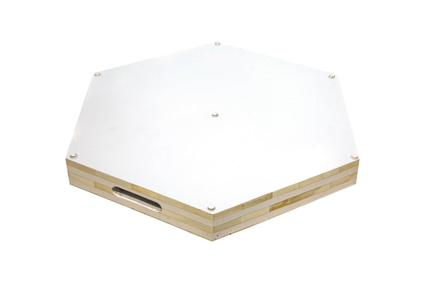 Bone Inlay Hexagonal Tray  - White Lines